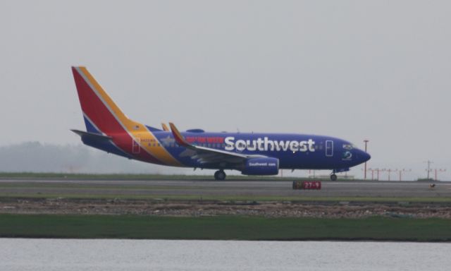 Boeing 737-700 (N422WN) - Southwest special scheme celebrating Shark Week departing Boston Logan.