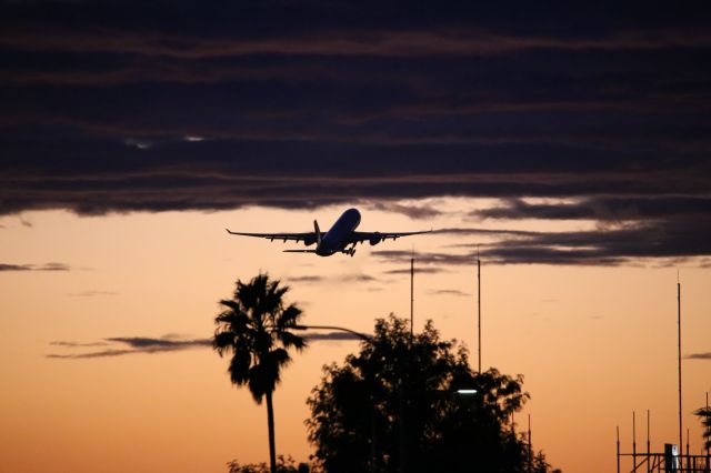 Airbus A330-200 (N383HA)