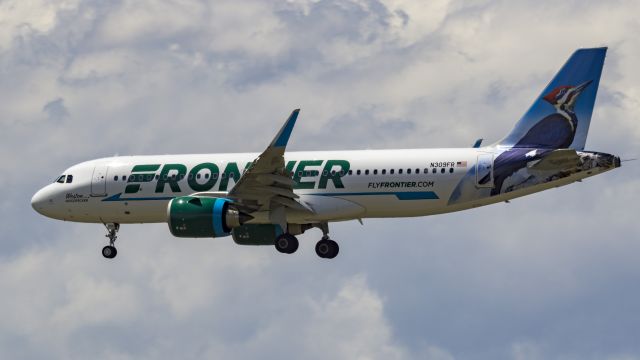 Airbus A320 (N309FR) - Weston the Woodpecker NEO on final for 16Lbr /5/13/17