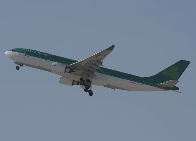 Airbus A330-200 (EI-DUO)