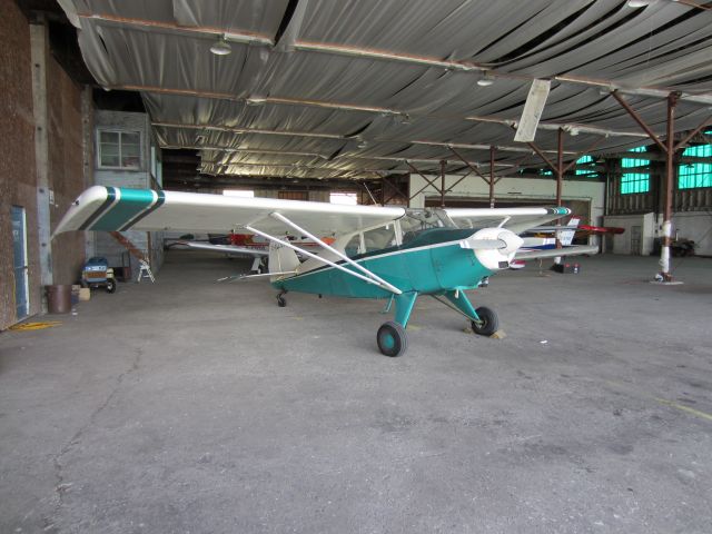 Piper PA-20 Pacer (C-FLQK) - In the Kingston flying club hangar