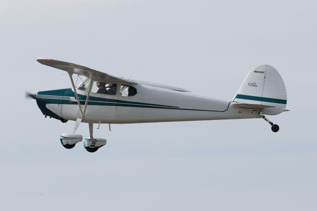 Cessna 170 (N2545V)