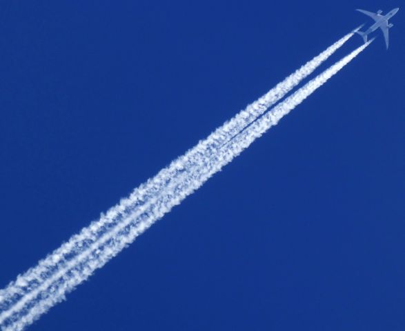 Boeing 787-8 (CC-BBF) - CC-BBF | B-788 | LAN750 | SCL>GRU br /VERTICAL DE CASCAVEL 25.06.2017 - 10:49br /FL410- 561KTbr /CAMERA OLYMPUS SP-810UZ ZOOM DE 36X