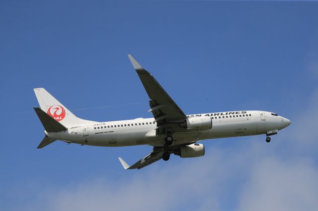 Boeing 737-800 (JA307J) - July 12th 2020:HND-HKD.