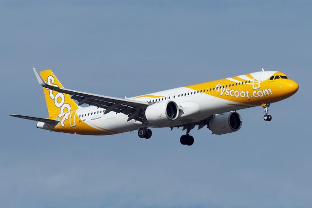 Airbus A321neo (9V-NCI) - Airbus A321-271NX cn 10492. Scoot 9V-NCI name Ong Lai final rwy 21 YPPH 31 December 2022