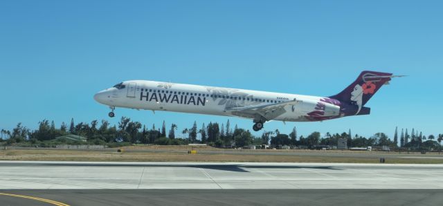 N484HA —