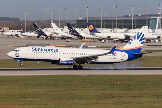 Boeing 737-800 (TC-SOB)