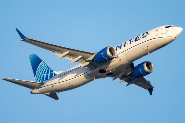 Boeing 737 MAX 8 (N17254)