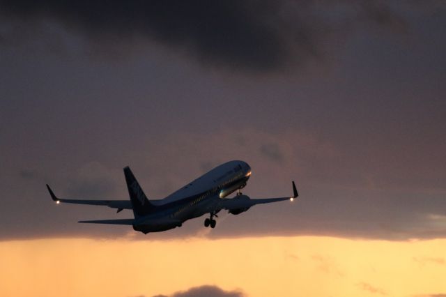 Boeing 737-800 (JA56AN) - 2 September 2015:HKD-CTS (After Divert).