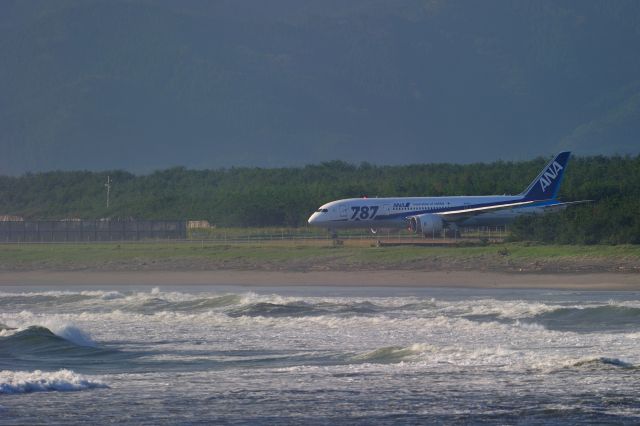 Boeing 787-8 (JA819A)