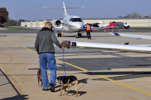 ARF — - Seen at KFDK on 11/7/2009.  This was a gathering & transfer point for pilots rescuing animals from South Carolina to various points in the northeast.  Most of these animals were within days of being euthanized at a kill-shelter. Its a wonderful organization that saves the lives of countless dogs & cats.  http://www.animalrescueflights.org/    a href=http://discussions.flightaware.com/profile.php?mode=viewprofile&u=269247  [ concord977 profile ]/a