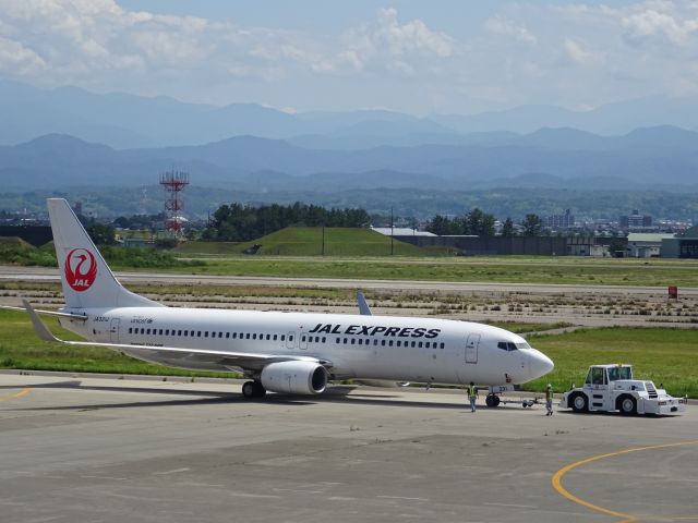Boeing 737-800 (JA331J)