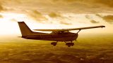 N80991 thumbnail