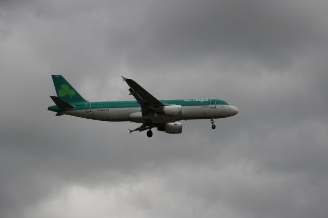 Airbus A320 (EI-DEN)