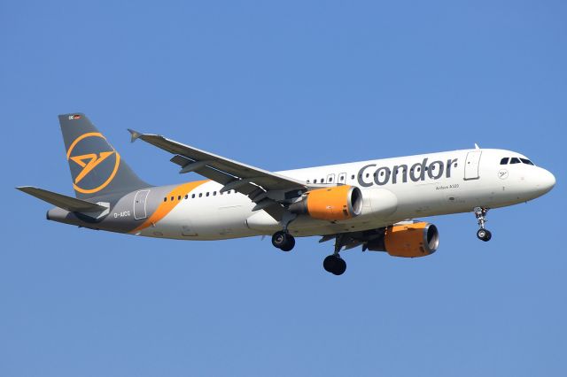Airbus A320 (D-AICG)