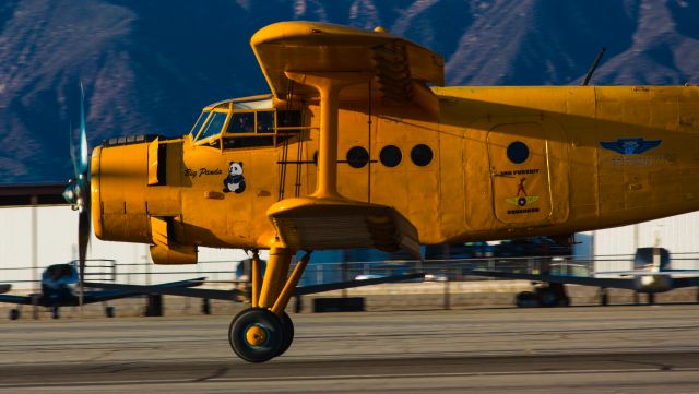 Antonov An-2 (N2AN)