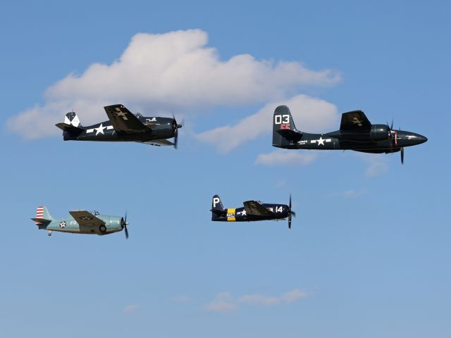 Grumman G-58 Bearcat (N14WB) - Flight of the Cats at EAA AirVenture Oshkosh, 27 Jul 2022. Here we have four Grummans including N700F, a 1945 F7F Tigercat dubbed “Here Kitty Kitty”, N14WB, an F8F Bearcat, N9265A an F6F-5 Hellcat “Death N' Destruction”, and N12260, an F4F Wildcat.