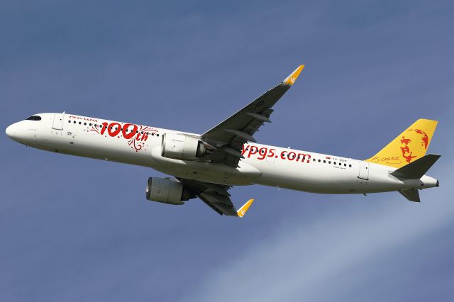 Airbus A321 (TC-RDP)