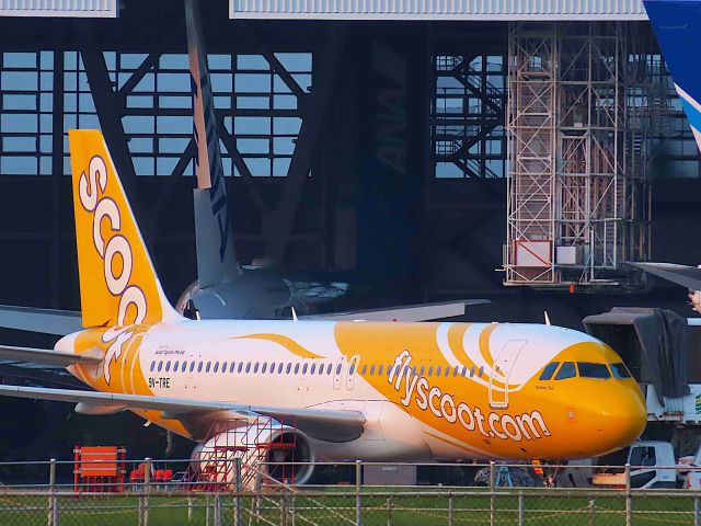 Airbus A320 (9V-TRE) - I took this picture on Jun 21, 2019.br /The plane I saw at this day's maintenance district spot is Scoot A320 staying for three days. The reason for this stay is unknown.br /TR874/18Jun  TPE-NRTbr /TR7002/21Jun  NRT-SIN