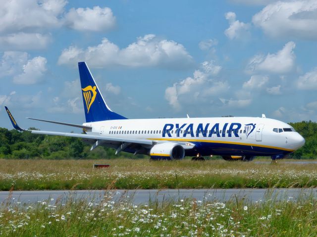Boeing 737-700 (EI-EKS) - Arrivée à Nantes Atlantique