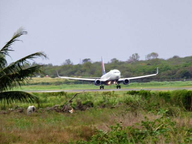 Boeing 737-800 (N3740C)
