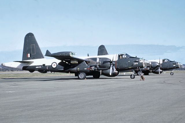 Lockheed P-2 Neptune (A98278) - Lockheed SP-2H Neptune, 10 sqn RAAF, photographed RAAF Pearce mid 1960s.