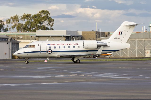 Canadair Challenger (A37003) - RAAF (A37-003) Bombardier CL-600-2B16 Challenger 604 taxiing at Wagga Wagga Airport.