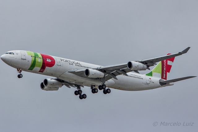 Airbus A340-300 (CS-TOB) - TAP Portugal / Airbus A340-312br /Registration: CS-TOBbr /br /Lisbon (LIS) / São Paulo (GRU)br /br /Foto tirada em: 14/11/2016br /Fotografia: Marcelo Luiz 