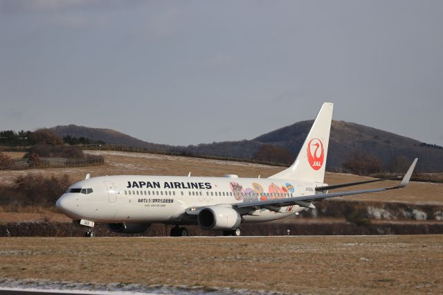 Boeing 737-800 (JA329J) - December 19th 2021:HKD-HND.