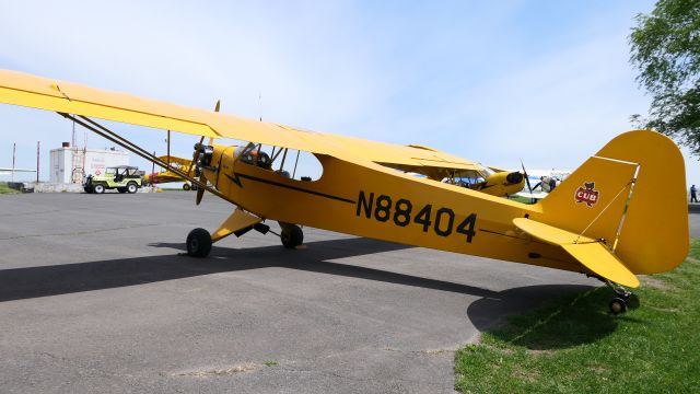 Piper NE Cub (N88404)