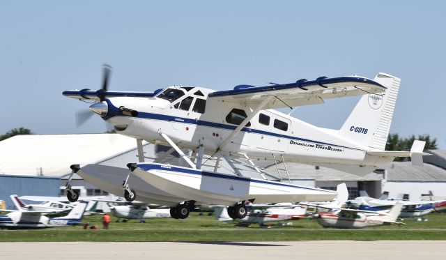 De Havilland Canada DHC-2 Mk1 Beaver (C-GDTB) - Airventure 2017