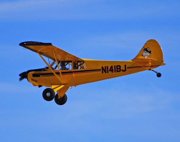 N141BJ — - N141BJ - AVIAT AIRCRAFT INC A-1C-180 (3024)  Las Vegas - McCarran International (LAS / KLAS) USA - Nevada October 27, 2010 Photo: TDelCoro