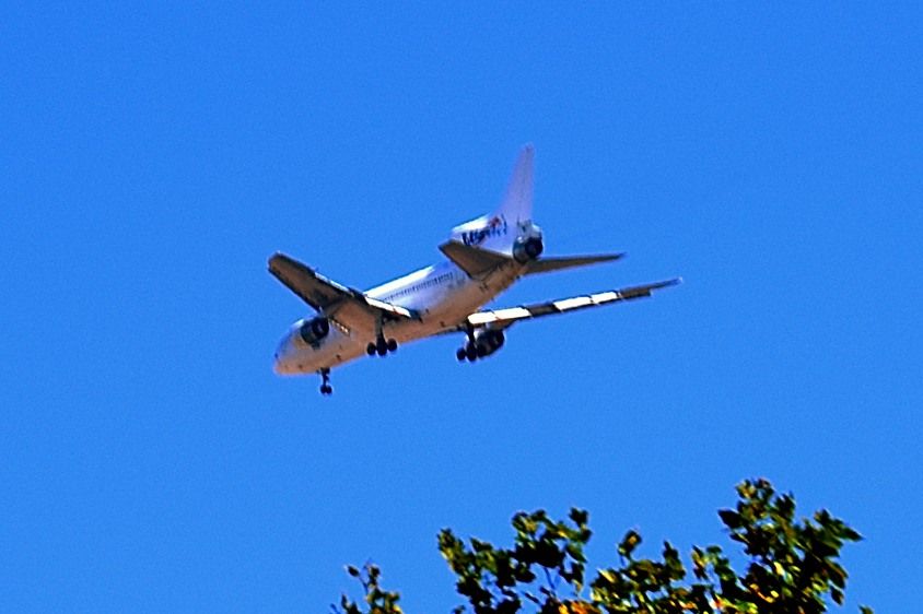 CS-TMP — - 2008 - Air Luxor changed it's name... br /Now, this, one of the last L-1011, formerly the CS-TEG from TAP Air Portugal, ended its days sunk as a diving wreck at Aqaba, Jordan 26/08/2019. Such a shame! br /Very bad photo, but the only one I have, as an homage! 