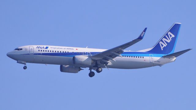 Boeing 737-800 (JA77AN)