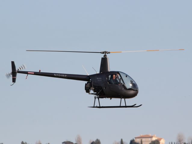 Robinson R-22 (N101BZ)