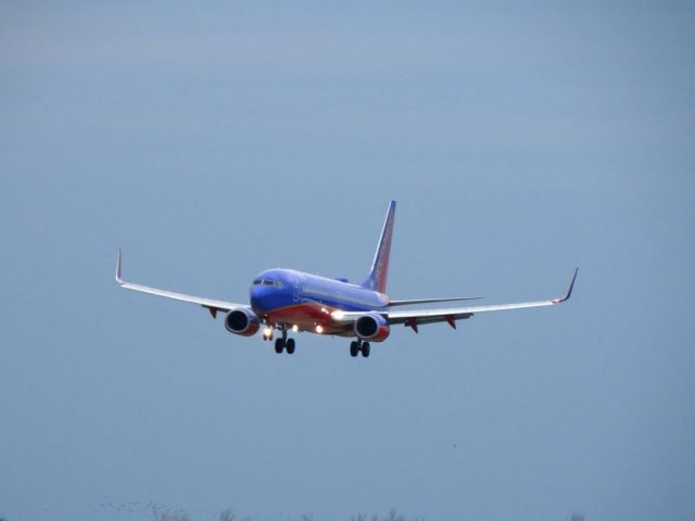 Boeing 737-800 (N8310C)