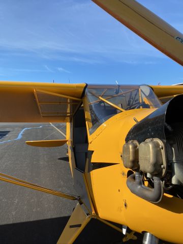 Piper NE Cub (N440TX)