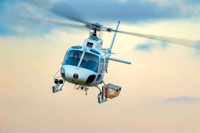 Eurocopter AS-350 AStar (VH-LGG)