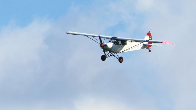 Piper L-21 Super Cub (N8180C)