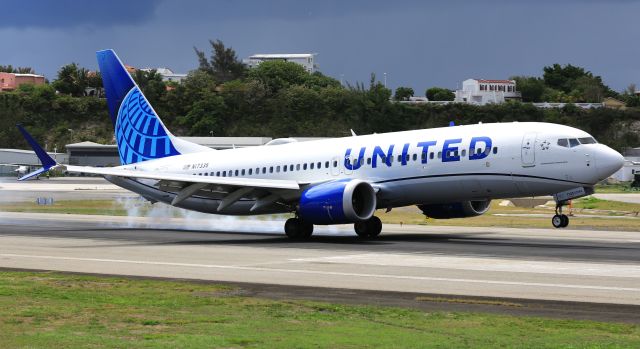 Boeing 737 MAX 8 (N17335)