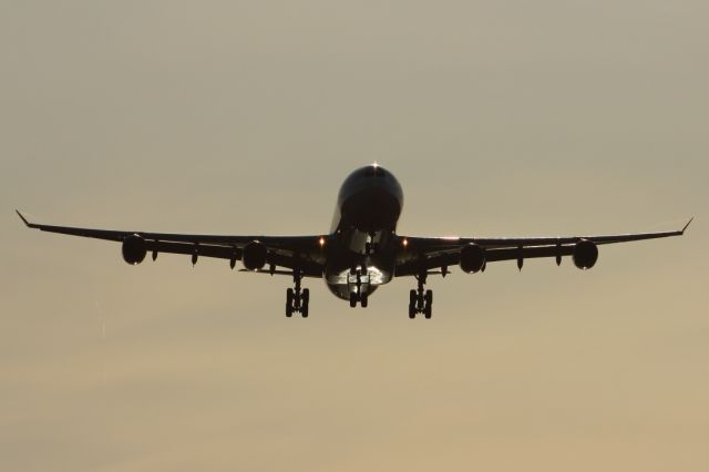 Airbus A340-300 — - Early morning arrival at LHR.