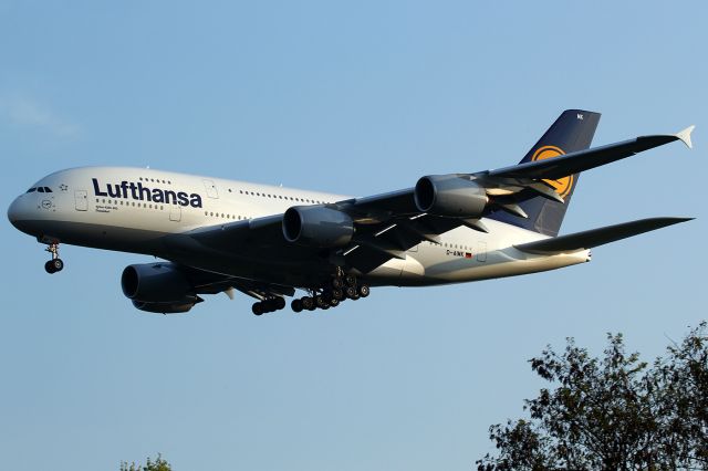 Airbus A380-800 (D-AIMK)