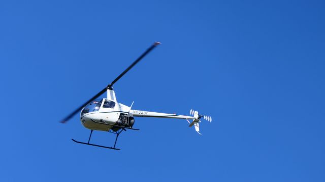 Robinson R-22 (N8023F)