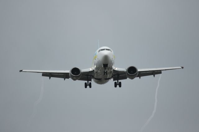 Boeing 737-500 (JA300K) - 29 June 2015:HND-HKD.