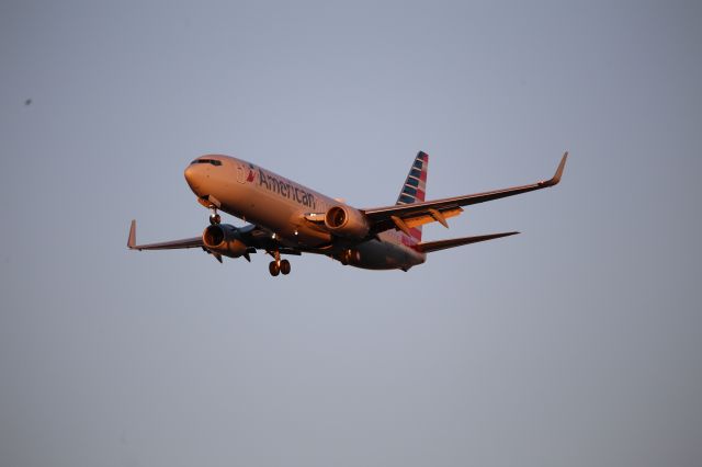 Boeing 737-800 (N966NN)