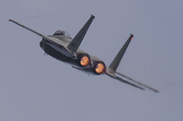 McDonnell Douglas F-15 Eagle (02-8801) - Gifu Air Festival : JASDF Gifu, Japan : 24 November 2013