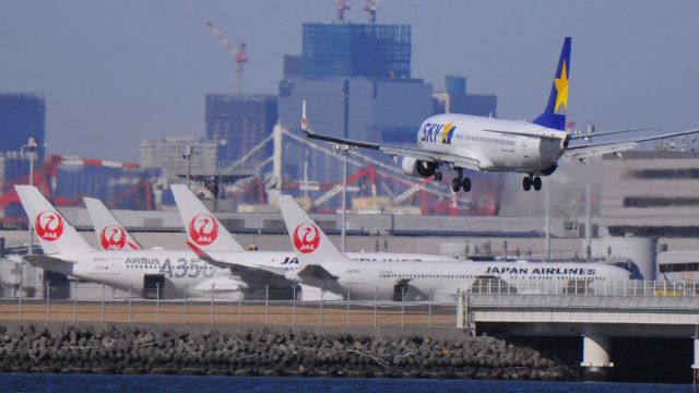 Boeing 737-800 (JA73NL)
