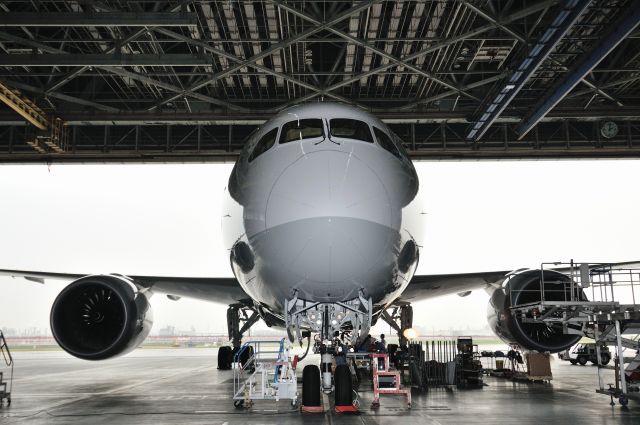 Boeing 787-8 (JA824A) - 2014/4/22