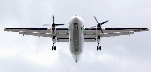 de Havilland Dash 8-100 (C-GONW)