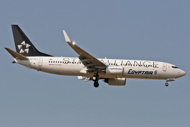 Boeing 737-800 (SU-GCS) - "Star Alliance" livery